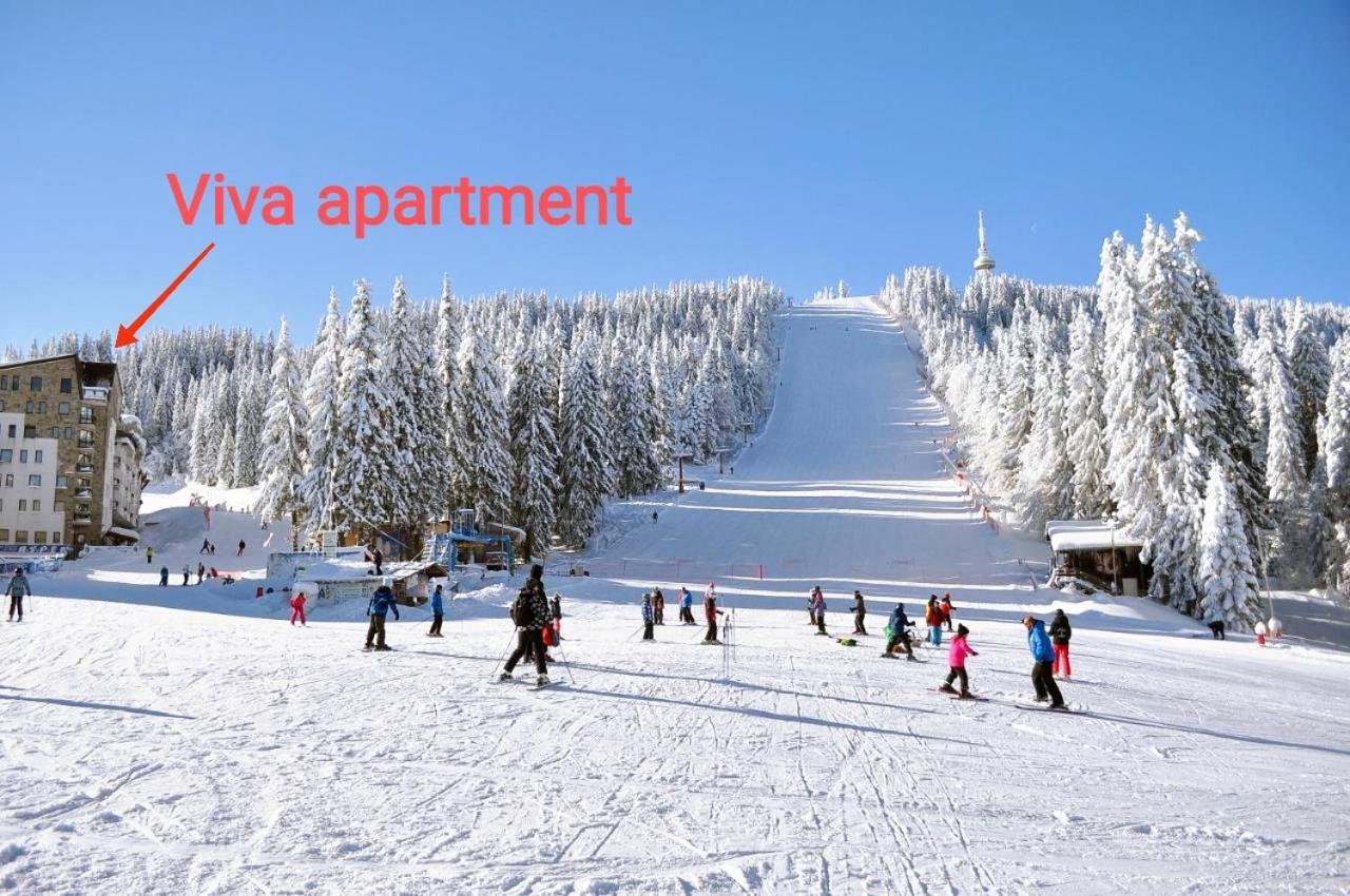 Viva 6 Apartment In Hotel Stenata Pamporovo Eksteriør billede